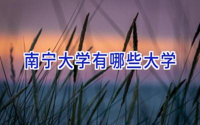 南宁大学有哪些大学