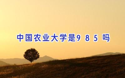 中国农业大学是985吗