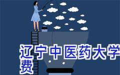 辽宁中医药大学杏林学院学费
