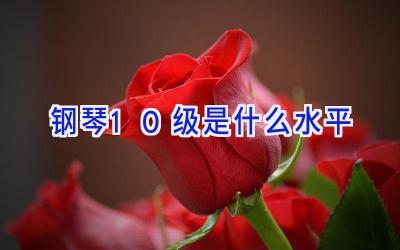 钢琴10级是什么水平