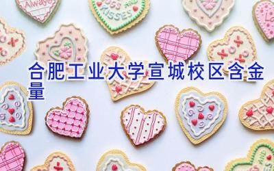 合肥工业大学宣城校区含金量