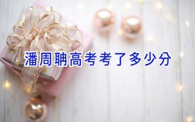 潘周聃高考考了多少分