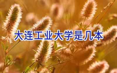 大连工业大学是几本