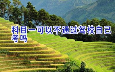 科目一可以不通过驾校自己考吗