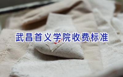 武昌首义学院收费标准