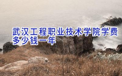 武汉工程职业技术学院学费多少钱一年