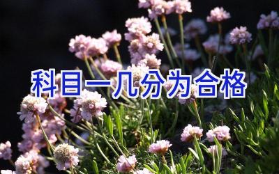 科目一几分为合格