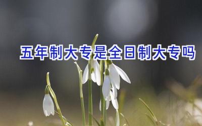 五年制大专是全日制大专吗