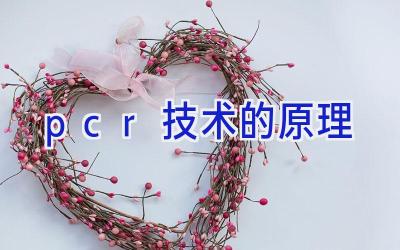 pcr技术的原理