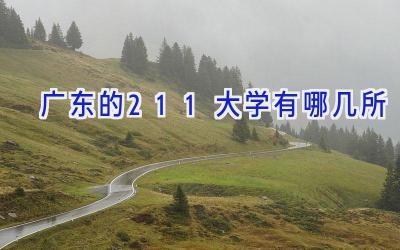 广东的211大学有哪几所