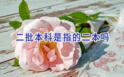 二批本科是指的二本吗