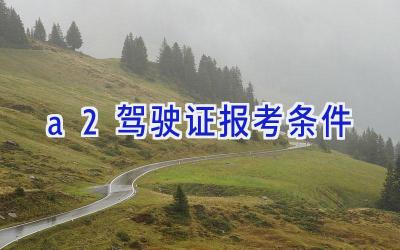 a2驾驶证报考条件
