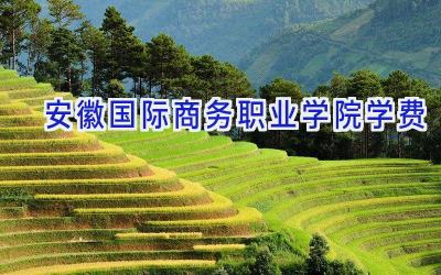 安徽国际商务职业学院学费