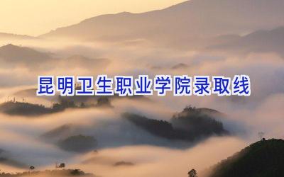 昆明卫生职业学院录取线