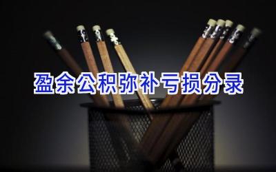 盈余公积弥补亏损分录