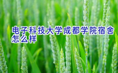 电子科技大学成都学院宿舍怎么样