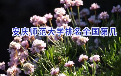 安庆师范大学排名全国第几