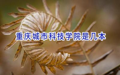 重庆城市科技学院是几本