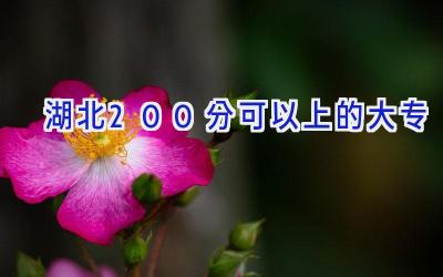 湖北200分可以上的大专