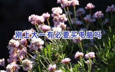 刚上大一有必要买电脑吗