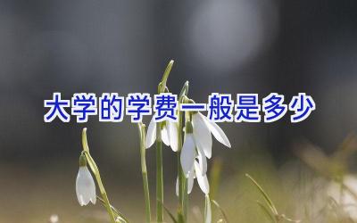 大学的学费一般是多少