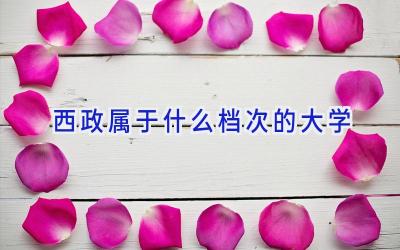 西政属于什么档次的大学