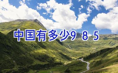 中国有多少985