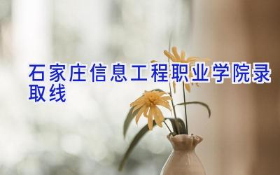 石家庄信息工程职业学院录取线