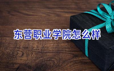 东营职业学院怎么样
