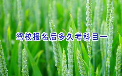 驾校报名后多久考科目一