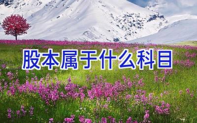 股本属于什么科目
