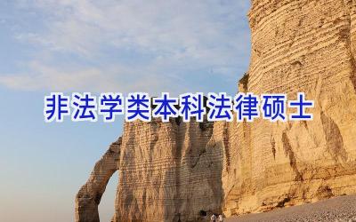 非法学类本科+法律硕士
