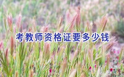 考教师资格证要多少钱