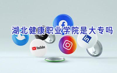 湖北健康职业学院是大专吗