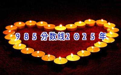 985分数线2025年