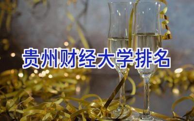 贵州财经大学排名