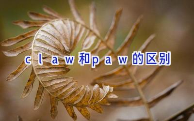 claw和paw的区别