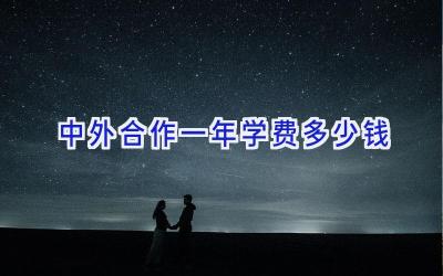 中外合作一年学费多少钱