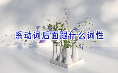 系动词后面跟什么词性
