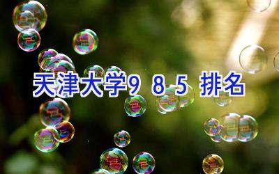 天津大学985排名