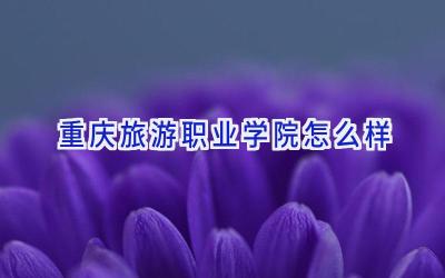 重庆旅游职业学院怎么样