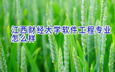 江西财经大学软件工程专业怎么样