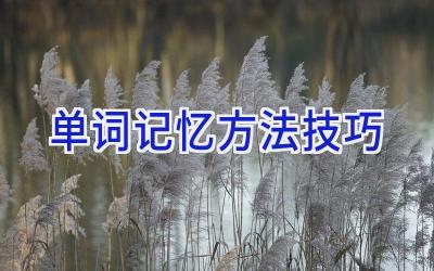 单词记忆方法技巧