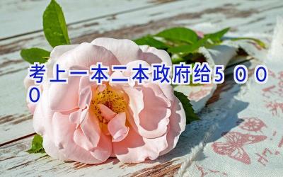 考上一本二本政府给5000