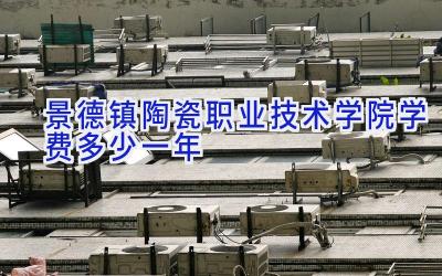 景德镇陶瓷职业技术学院学费多少一年