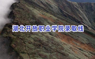 湖北开放职业学院录取线