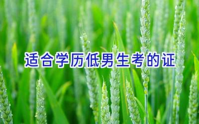 适合学历低男生考的证