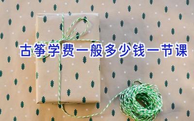 古筝学费一般多少钱一节课