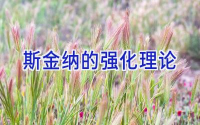 斯金纳的强化理论