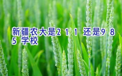 新疆农大是211还是985学校